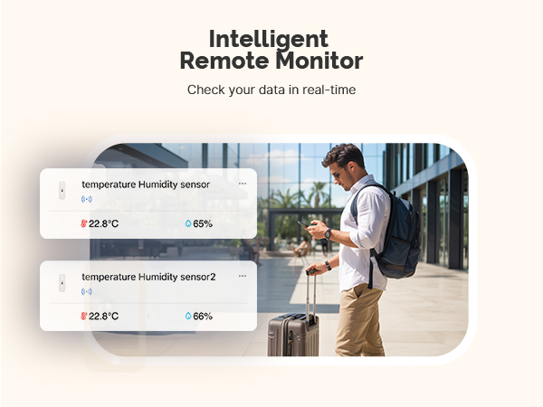 WiFi humidity and temperature monitor