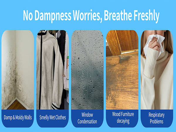 basement dehumidifier-11