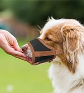 dog muzzle