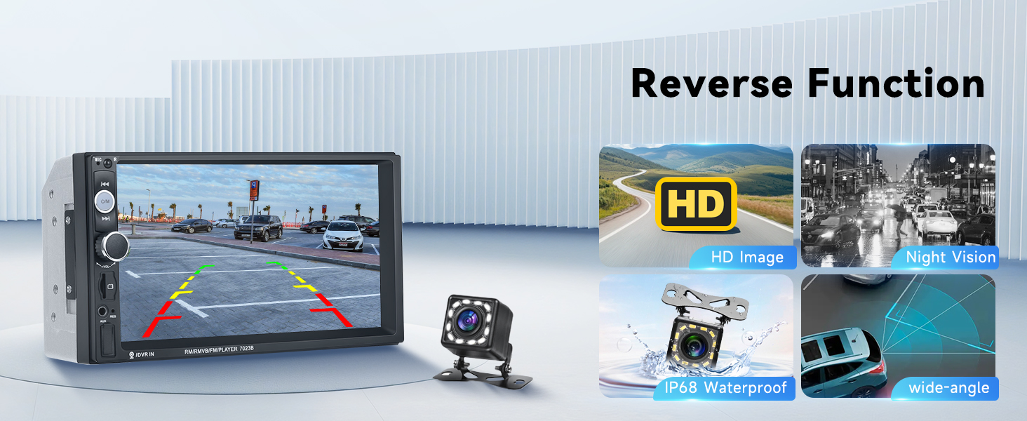 Reversing Camera Input