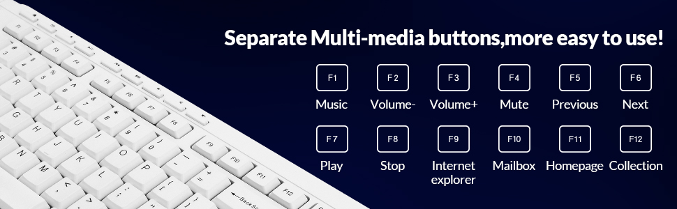 12 Multimedia Keys