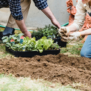 outdoor rain gauge tube