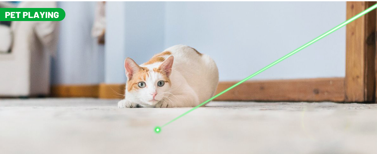 wireless clicker for presentations