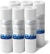 BLUERISE 5 Micron 10" x 2.5" Water Filter Replacement Whole House Sediment Home Water Filter Repl...