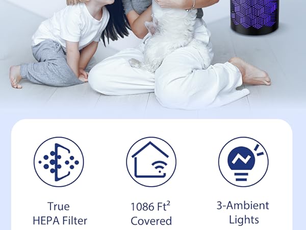 air purifiers for home