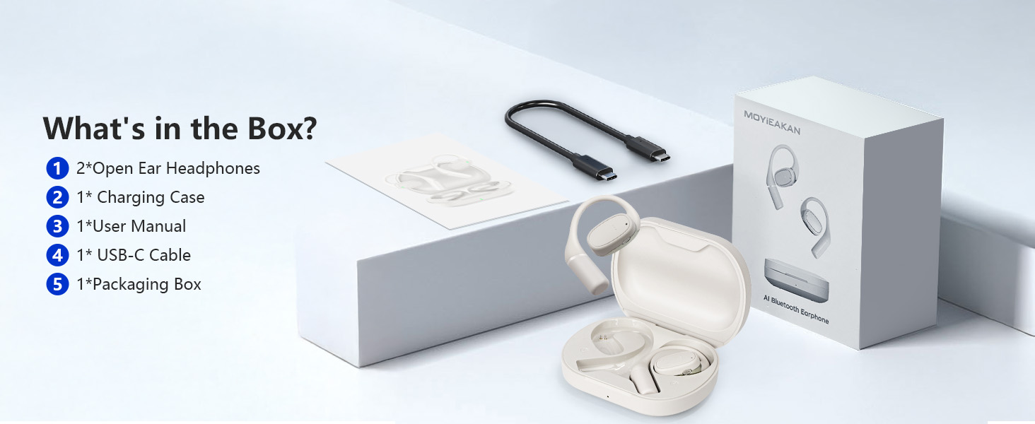 translation earbuds,ranslation earbuds real time,language translator earbuds