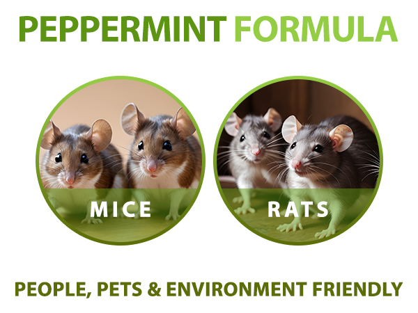 rat repellent outdoor