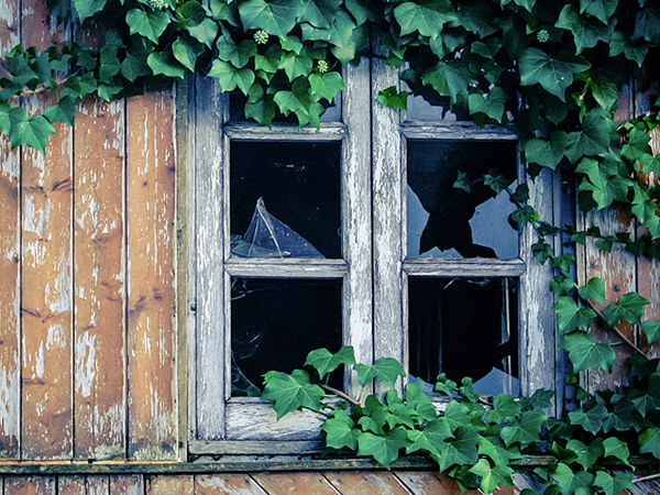 window security film kit