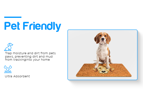 pet friendly jute door mat