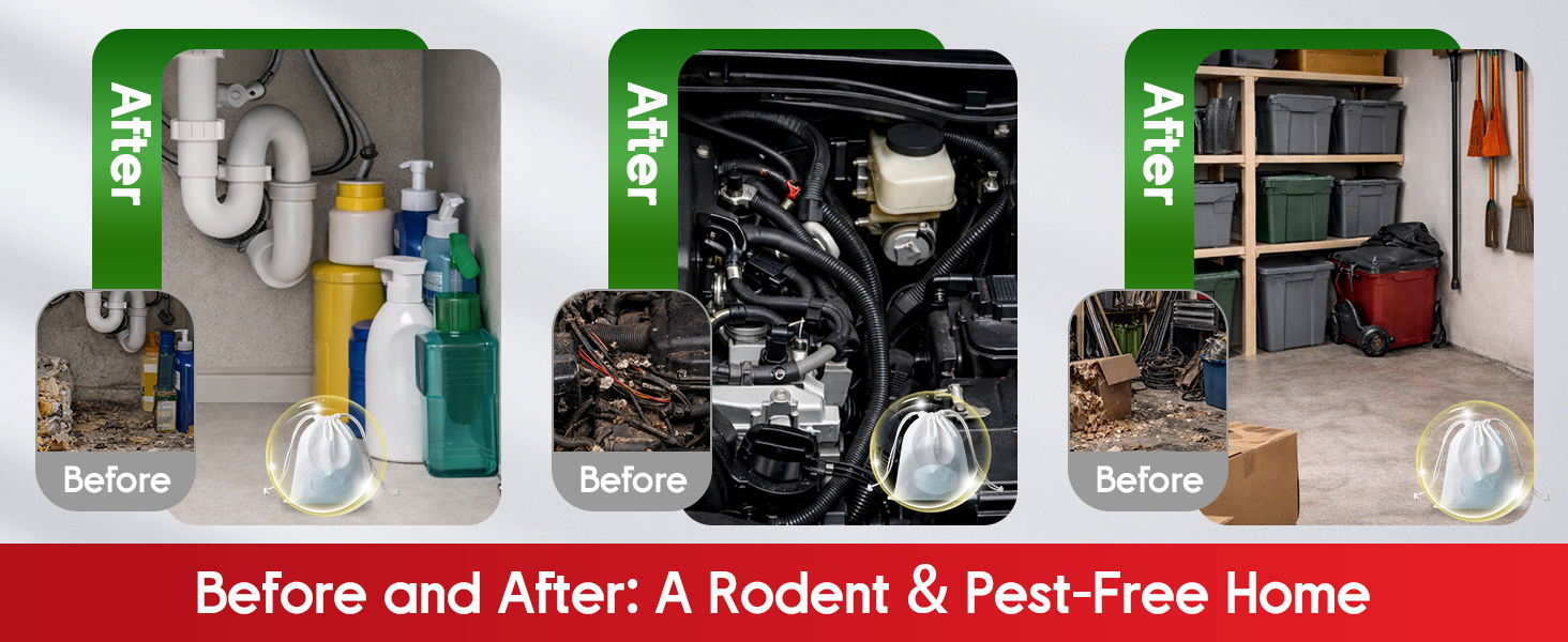 peppermint essential oil mole repellent rodent repellent mouse repellent