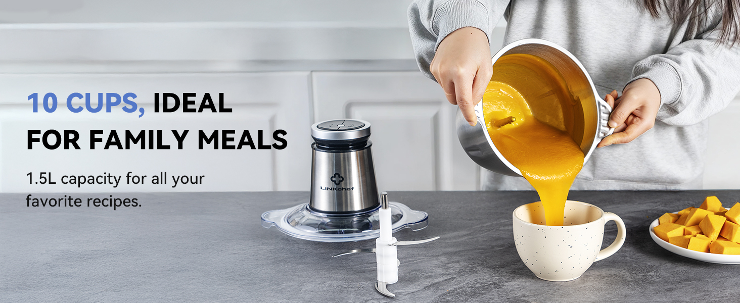 electric food processor