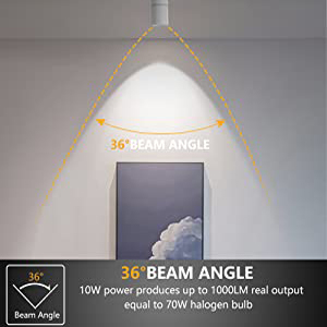 h type track lighting heads Flood 36 degree