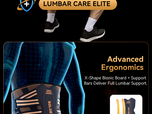 back support belt for men