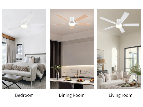 ceiling fan