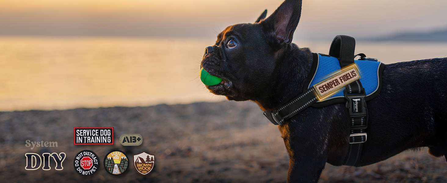 dog harness2-2
