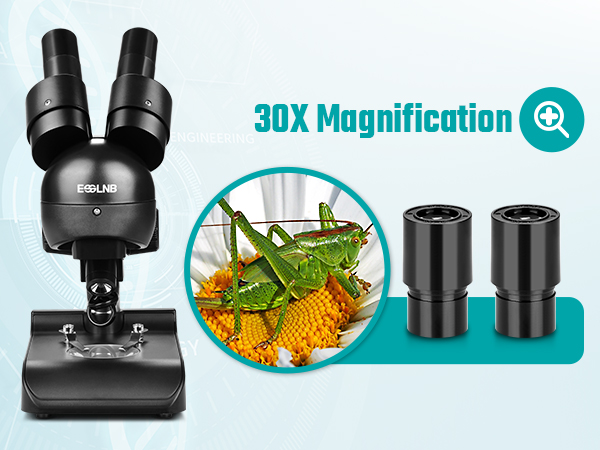 Mounted Binocular Stereo Microscope