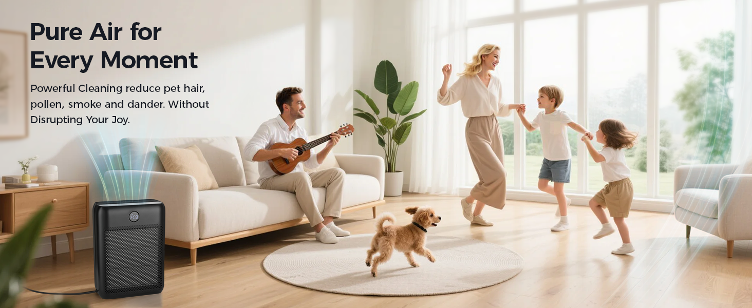 HEPA 13 Air Purifier