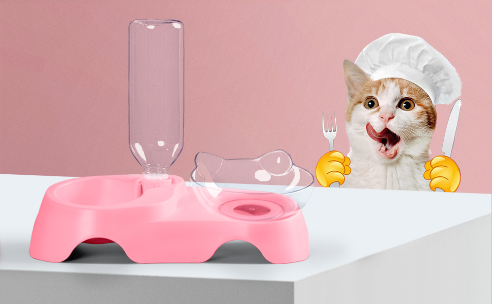 cat food water bowl