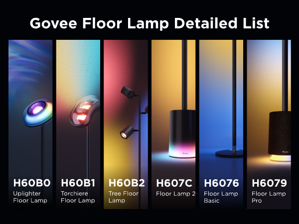 Govee Floor Lamp Detailed List