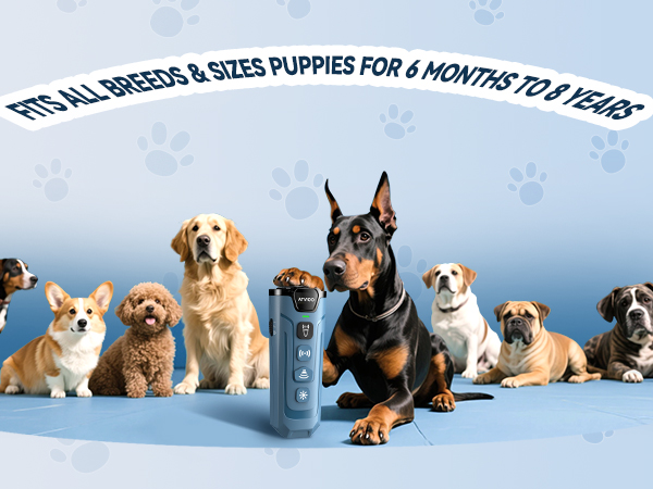 ultrasonic dog bark deterrent