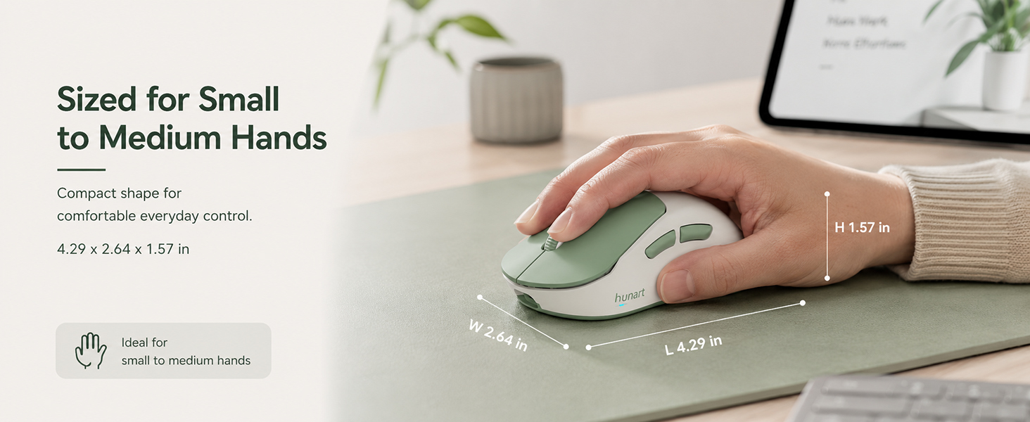 H6 Mouse