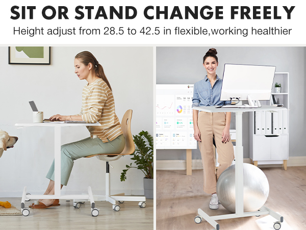 Rolling Standing Desk