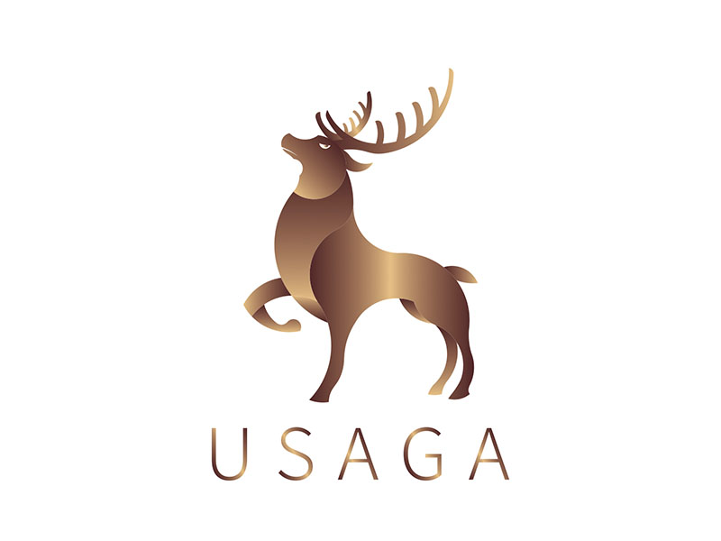 USAGA head massager