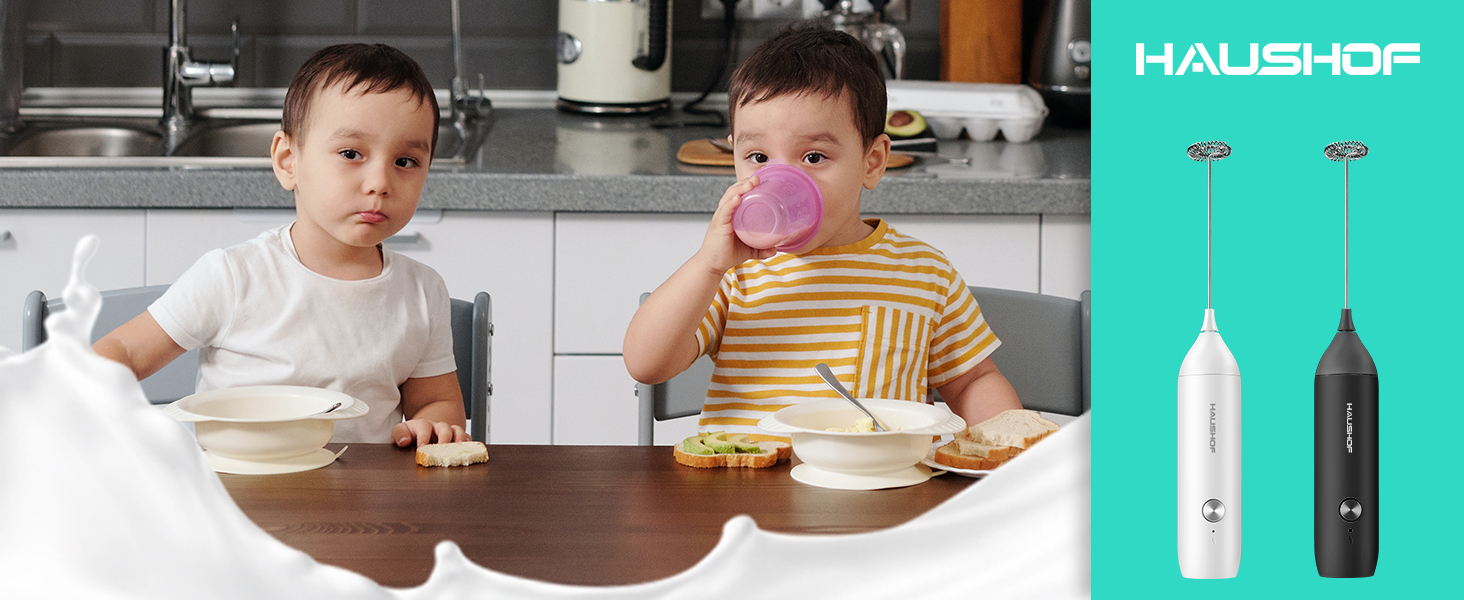 Electric Milk Frother