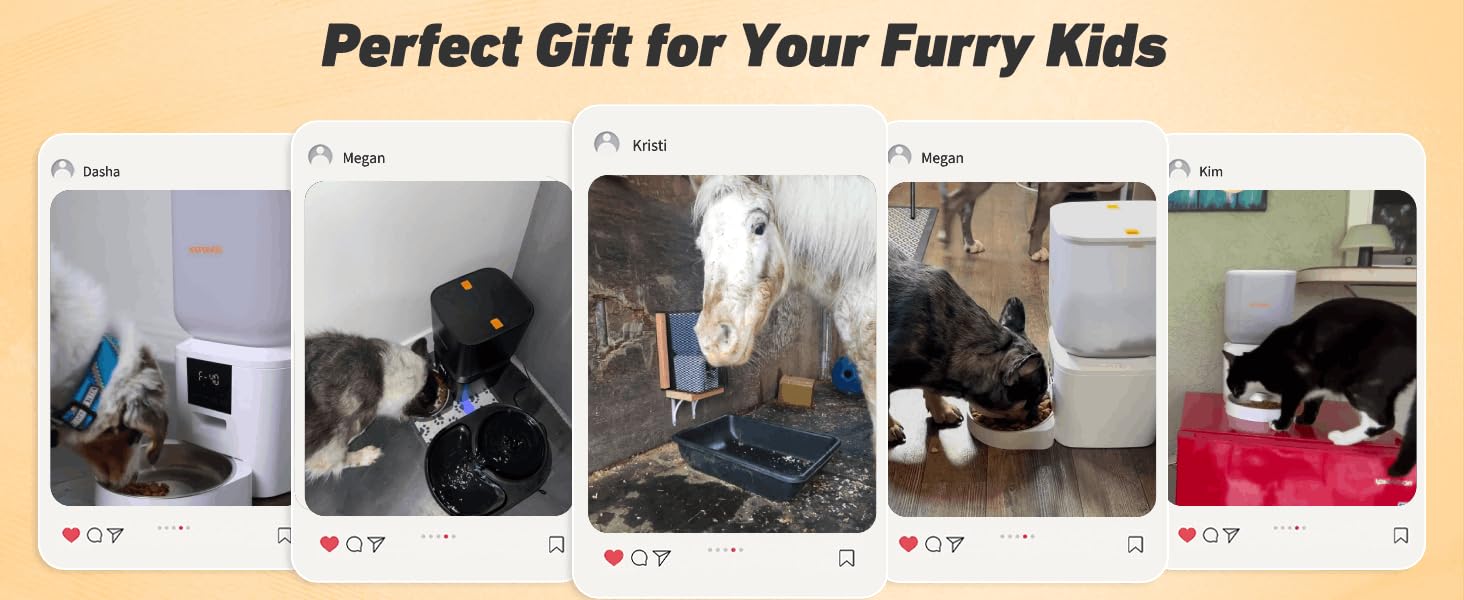 automatic pet feeder for dogs and cats