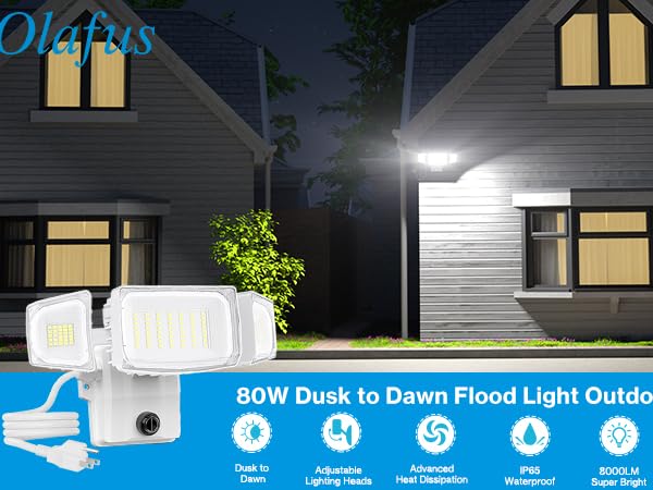 Plug in Flood Light