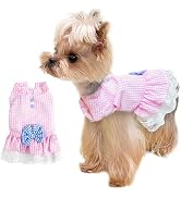 TENGZHI Dog Summer Dress Cute Plaid Bowknot Sleeveless Sundress Soft Breathable Lace Princess Pup...