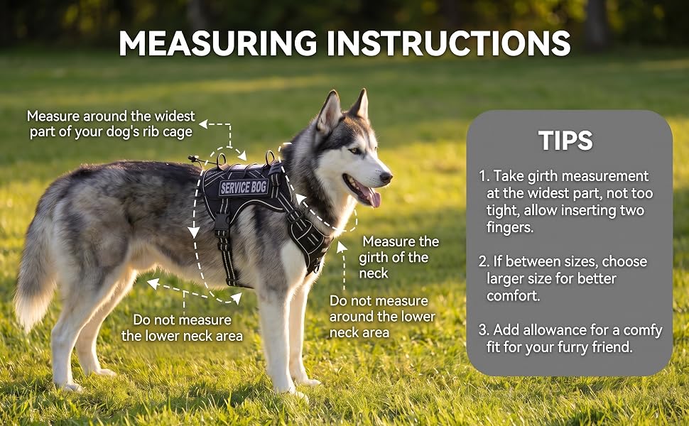 MEASURING INSTRUCTIONS