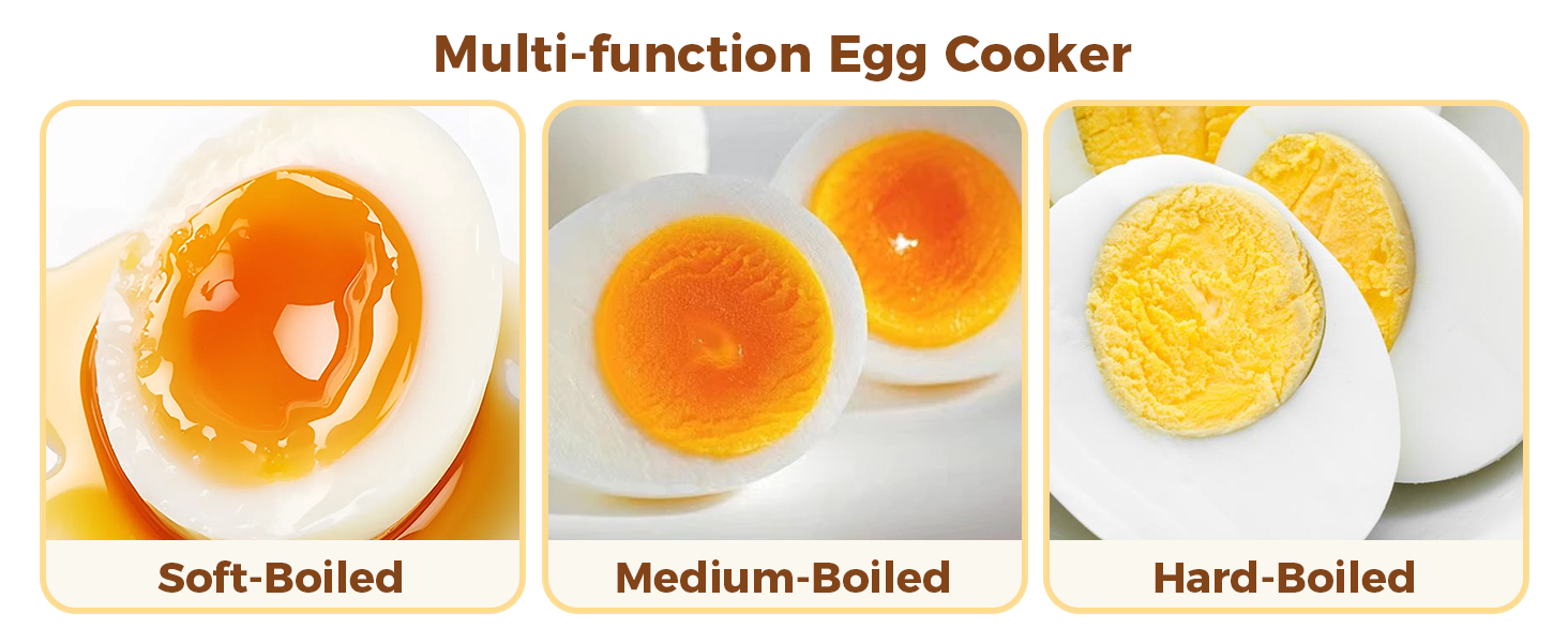 multifunction egg cooker