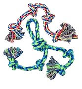 2Pack Dog Ropes