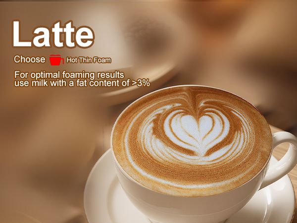 milk frother and steamer