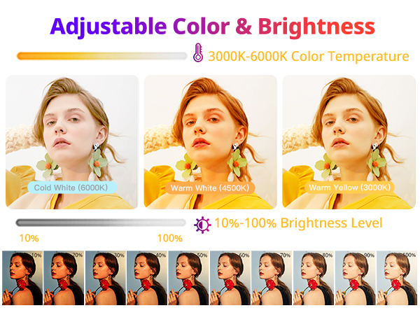 photo lights for photography