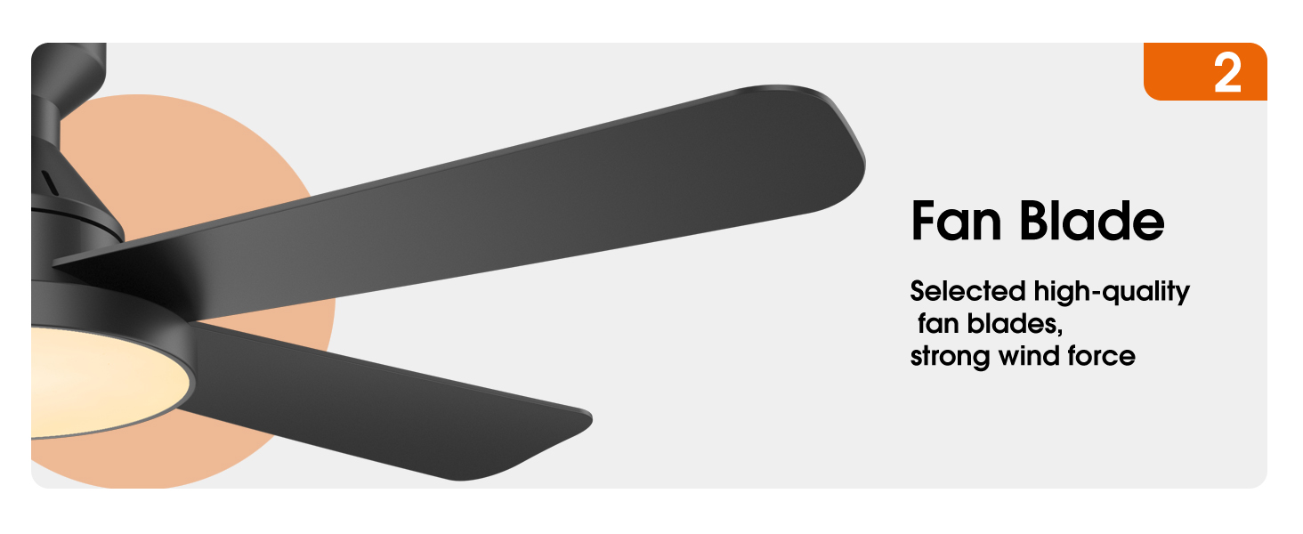 black ceiling fan with 5 fan blades,