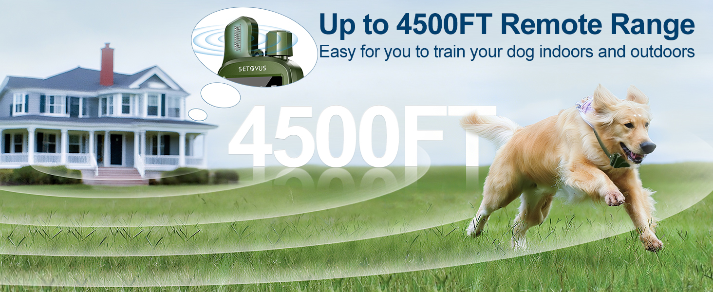 dog training collar