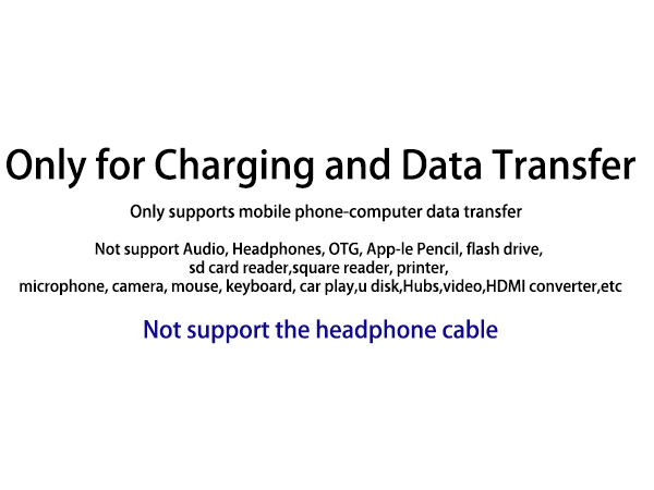 Lightning to USB C Adapter