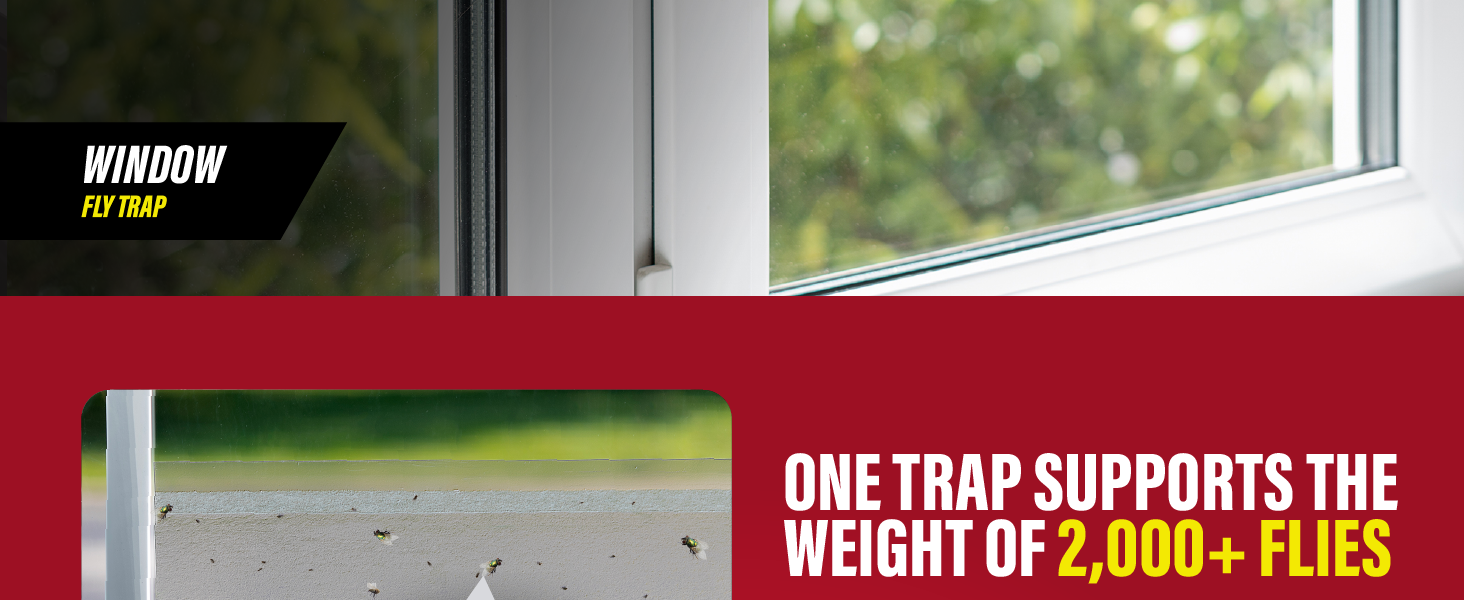 Wide Catchmaster graphic showing transparent fly trap on window