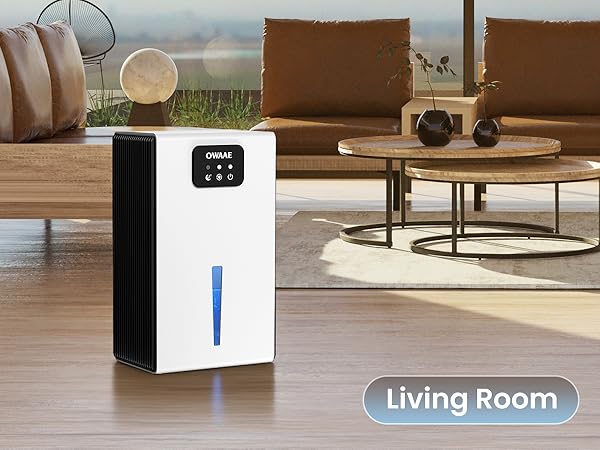 dehumidifiers for home