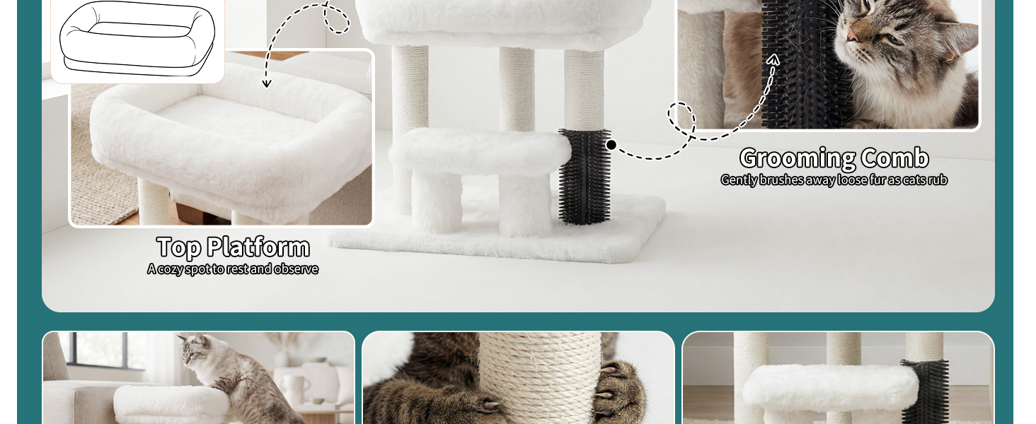 cat tree