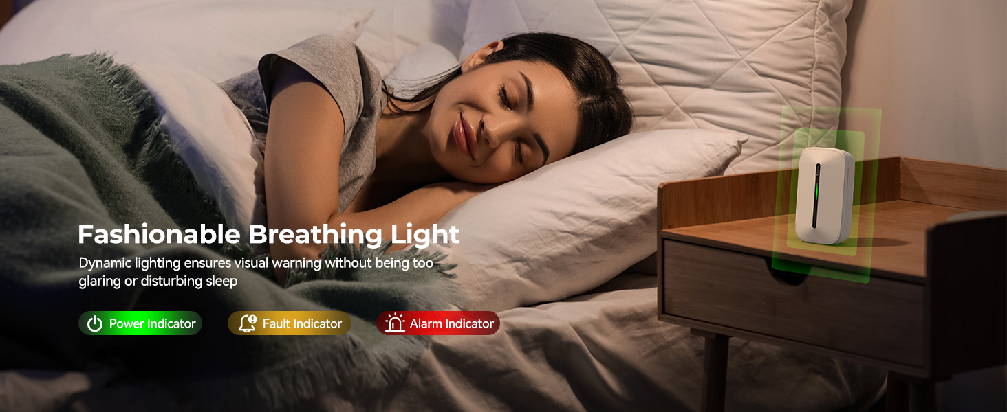 Carbon Monoxide Detector