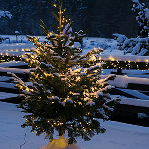 white xmas lights