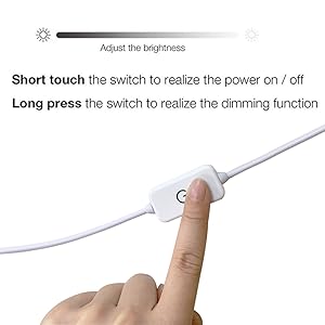 touch switch