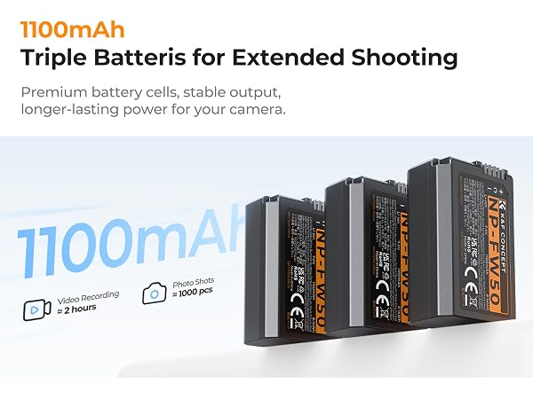 a6000 battery