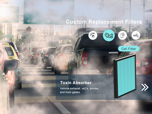 air filter for toxin absorber