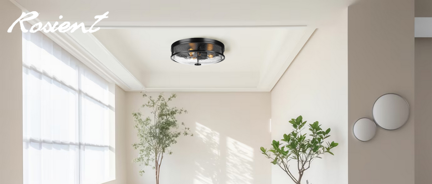 Close to ceiling light