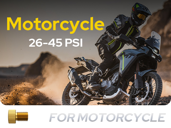 WARWOLF 160PSI Tire Inflator