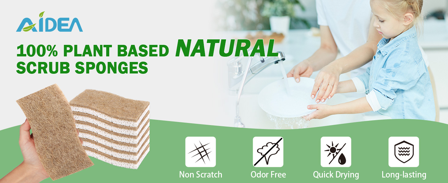 Extra Large Natural Sponge